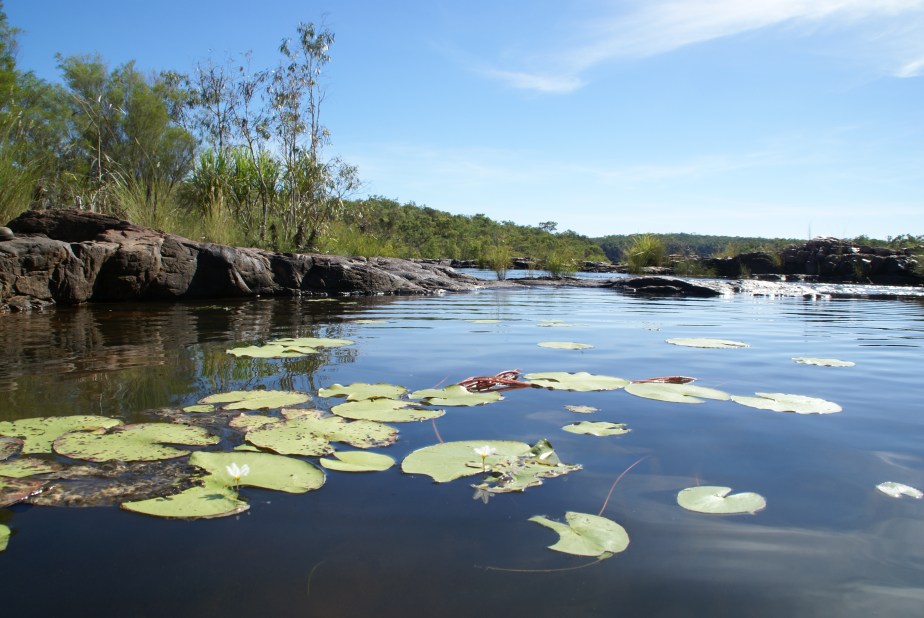 Tranquility above the falls