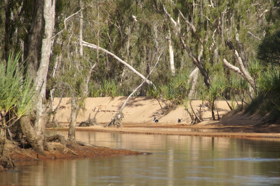Drysdale River