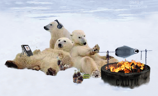 polarbearscooking