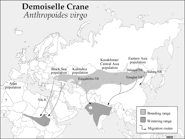 From the International Crane Foundation.