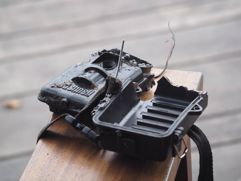 OLYMPUS DIGITAL CAMERA