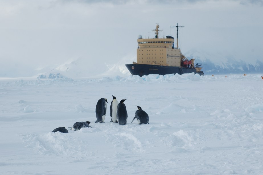 Antarctica 2005