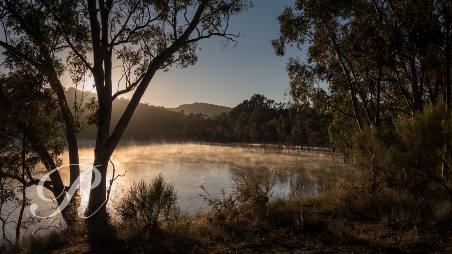 Happy New Year&nbsp;…